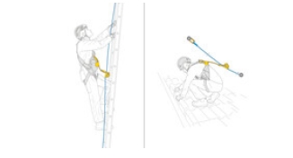 Spécificité n°3 de l'antichute mobile ASAP Petzl